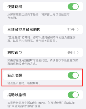 文登苹果授权维修站分享iPhone轻点无法唤醒怎么办 