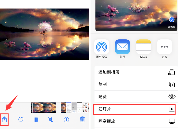 文登苹果14维修店分享iPhone14相册视频如何循环播放 