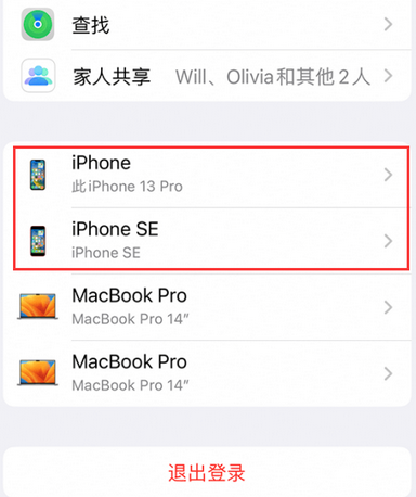 文登苹文登果维修网点分享iPhone如何查询序列号