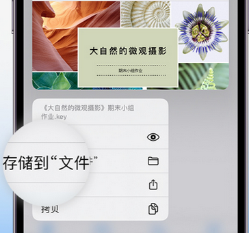 文登apple维修中心分享iPhone文件应用中存储和找到下载文件