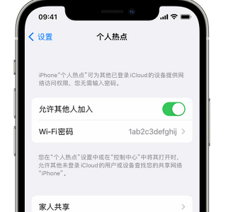 文登apple服务站点分享iPhone上个人热点丢失了怎么办 