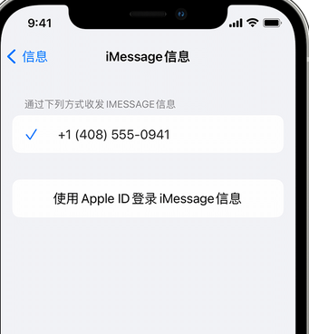 文登apple维修iPhone上无法正常发送iMessage信息 