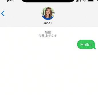 文登apple维修iPhone上无法正常发送iMessage信息