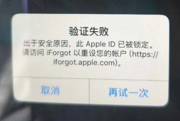 文登iPhone维修分享iPhone上正常登录或使用AppleID怎么办 