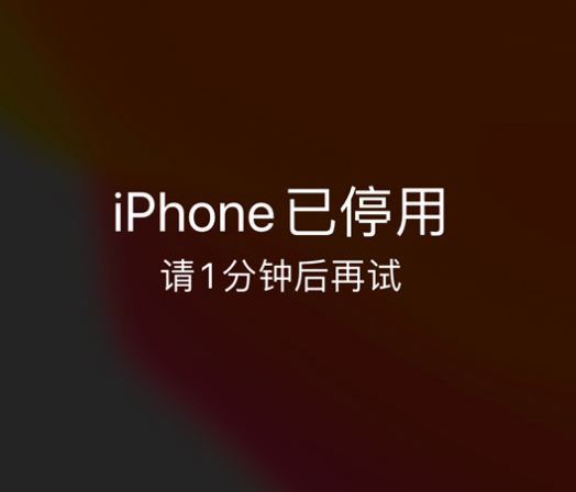 文登苹果手机维修分享:iPhone 显示“不可用”或“已停用”怎么办？还能保留数据吗？ 