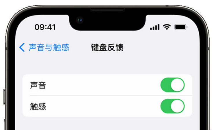 文登苹果手机维修分享iPhone 14触感键盘使用方法 