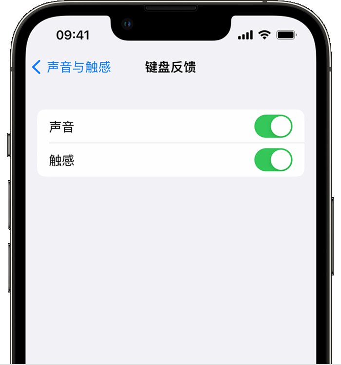 文登苹果14维修店分享如何在 iPhone 14 机型中使用触感键盘 