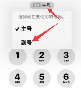 文登苹果14维修店分享iPhone 14 Pro Max使用副卡打电话的方法 