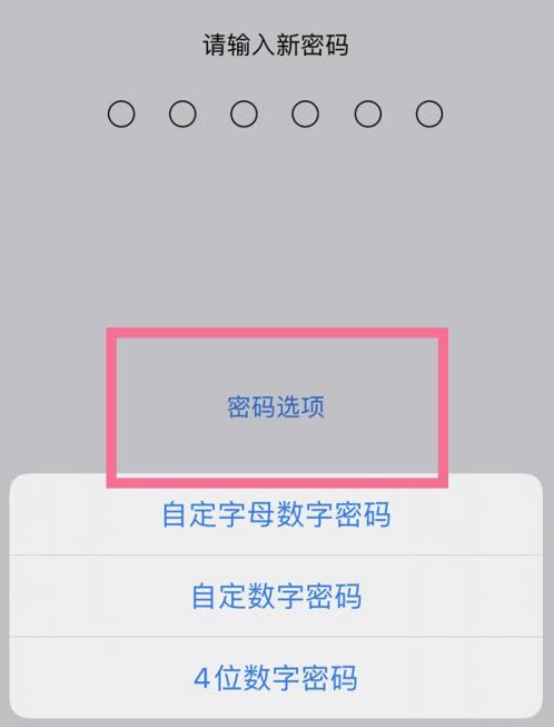 文登苹果14维修分享iPhone 14plus设置密码的方法 