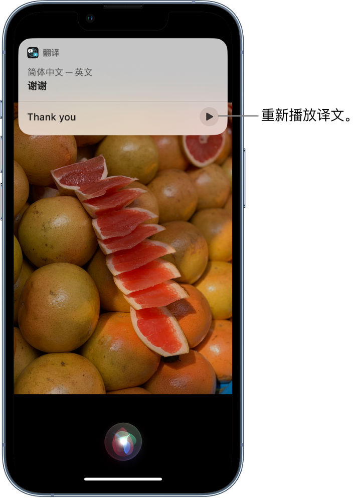 文登苹果14维修分享 iPhone 14 机型中使用 Siri：了解 Siri 能帮你做什么 