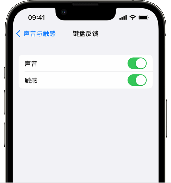 文登苹果14维修分享iPhone 14 系列机型如何开启键盘声音或触感反馈 