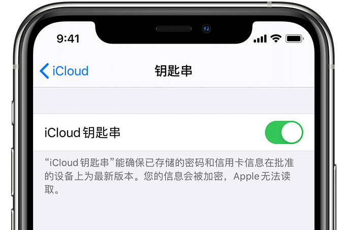 文登苹果手机维修分享在 iPhone 上开启 iCloud 钥匙串之后会储存哪些信息 