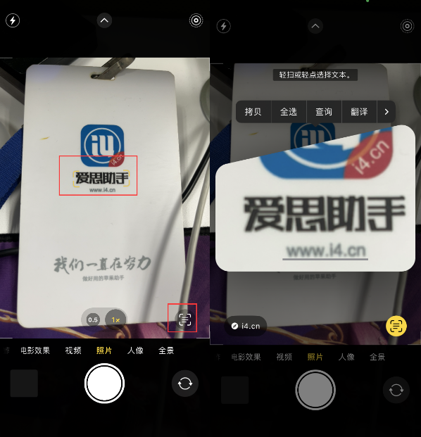 文登苹果手机维修分享升级iOS 16后如何通过相机翻译文本 