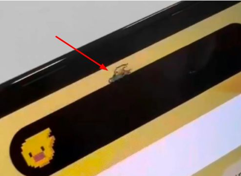 文登苹果14维修分享iPhone 14 Pro Max灵动岛怎么养宠物 