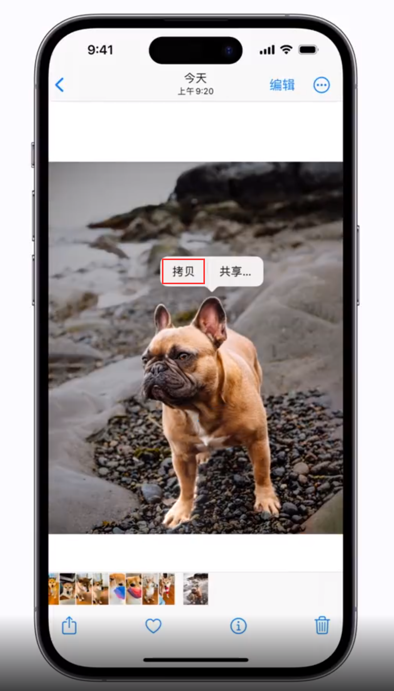 文登苹果手机维修分享 iOS 16 自带一键抠图功能 