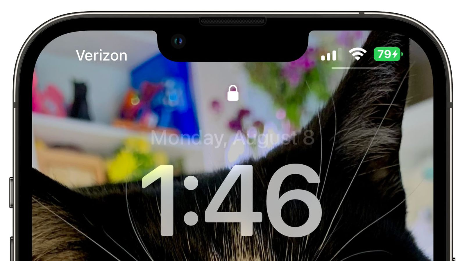 文登苹果手机维修分享iOS 16 beta 5 支持状态栏显示电池百分比，如何开启？支持哪些机型 