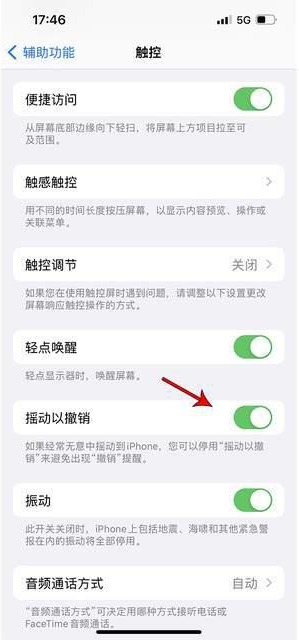 文登苹果手机维修分享iPhone手机如何设置摇一摇删除文字 