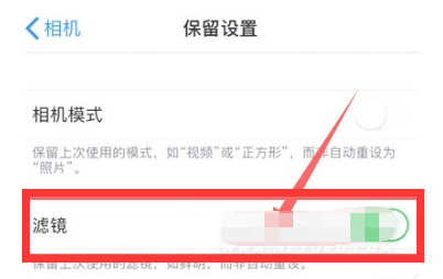 文登苹果13维修分享iPhone13拍照有绿点是怎么回事 