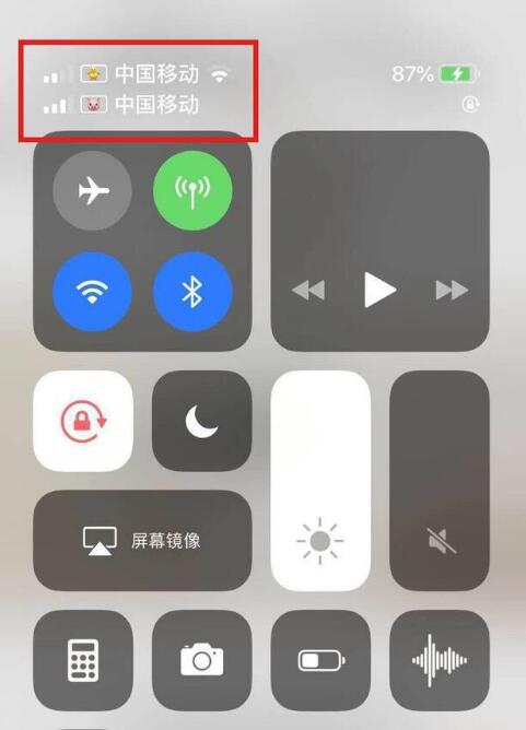 文登苹果手机维修分享为 iPhone 12 双卡设置标签 