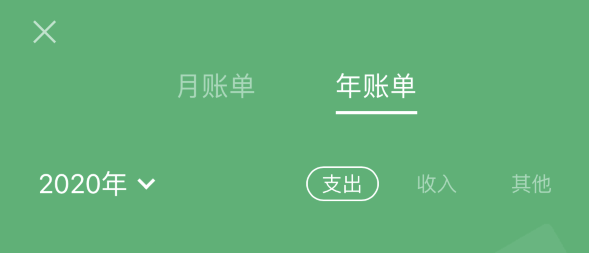文登苹果手机维修分享如何在 iPhone 上查看支付宝和微信年支出账单 