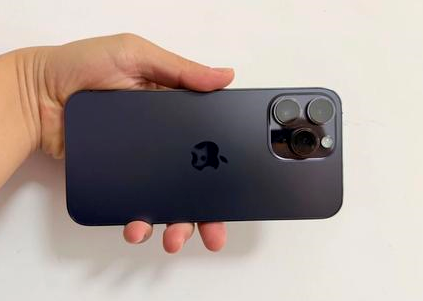 文登苹果维修点分享iPhone 14 Pro Max黑屏少见故障盘点 